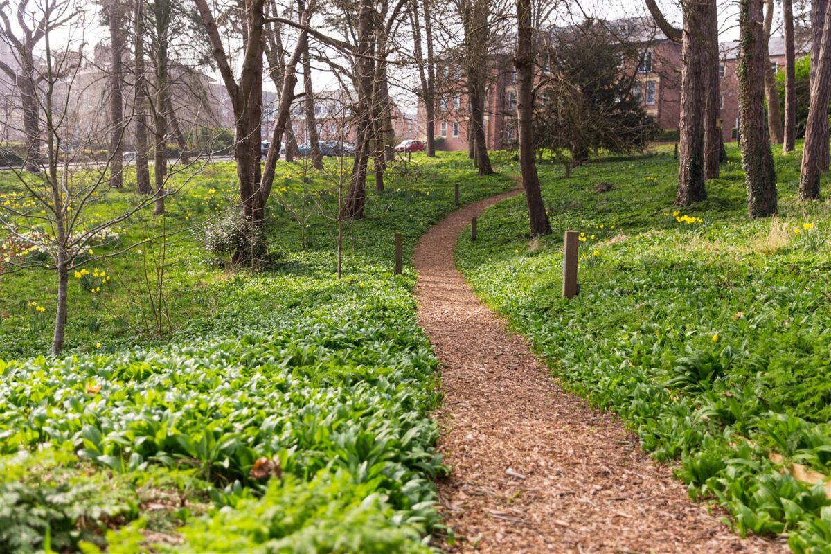 Wilkinson Court, Ripon