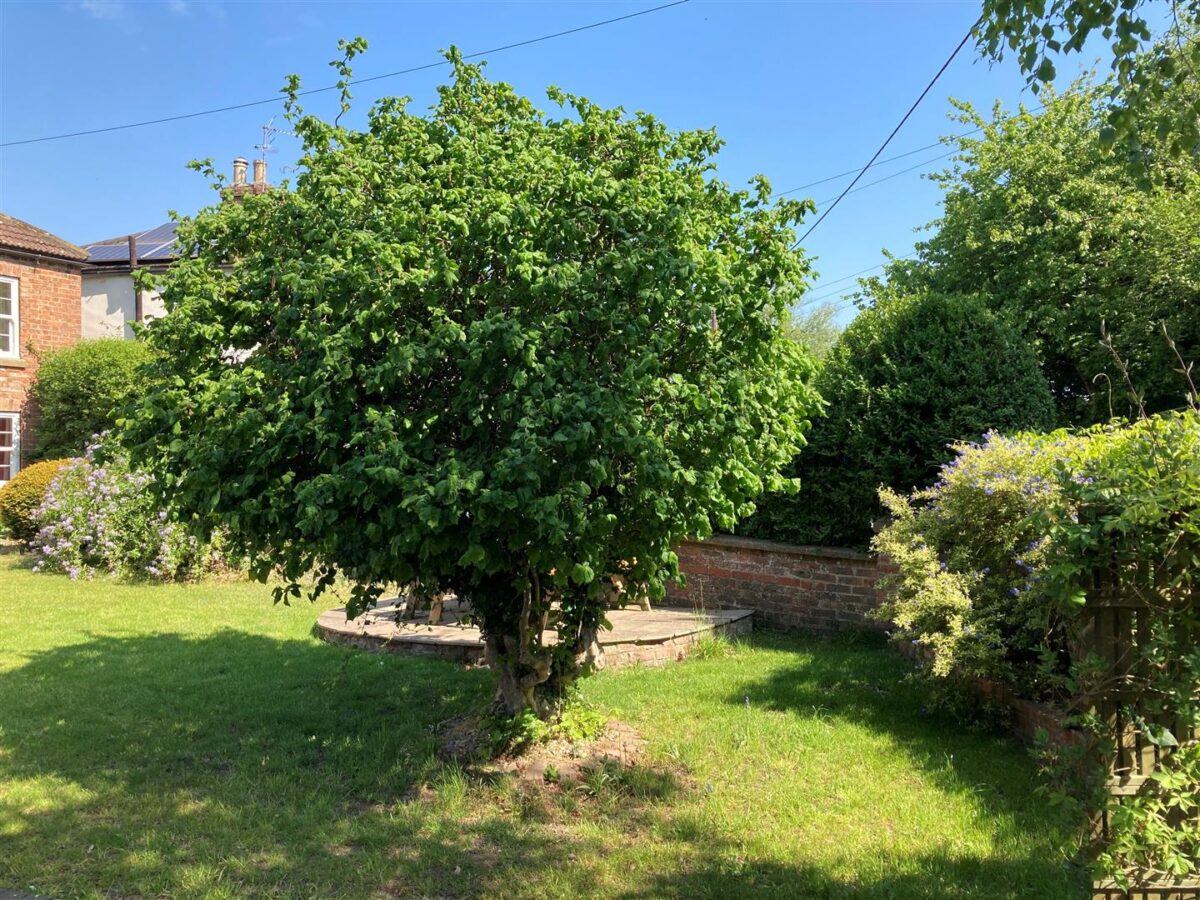 Kirby Wiske, Thirsk