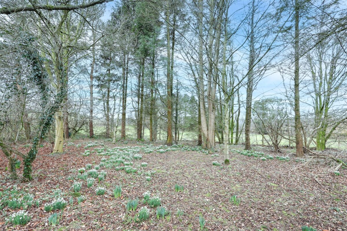 Laverton, Ripon