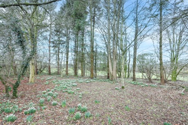 Laverton, Ripon