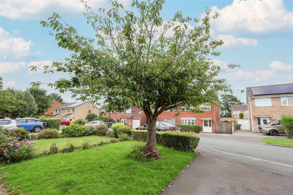 Sycamore Road, Ripon