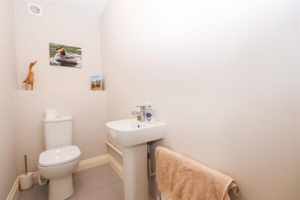 Wisteria Park Gardens, Thirsk