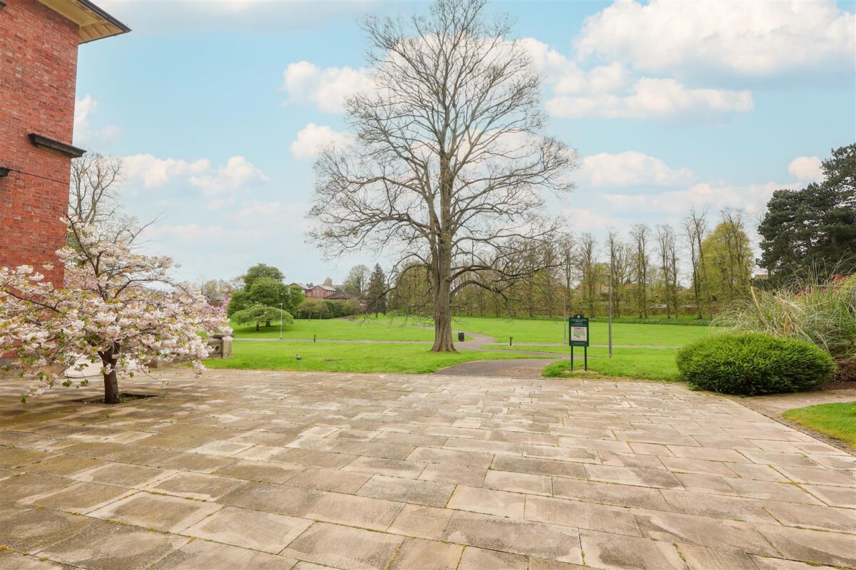 Steven Way, Ripon