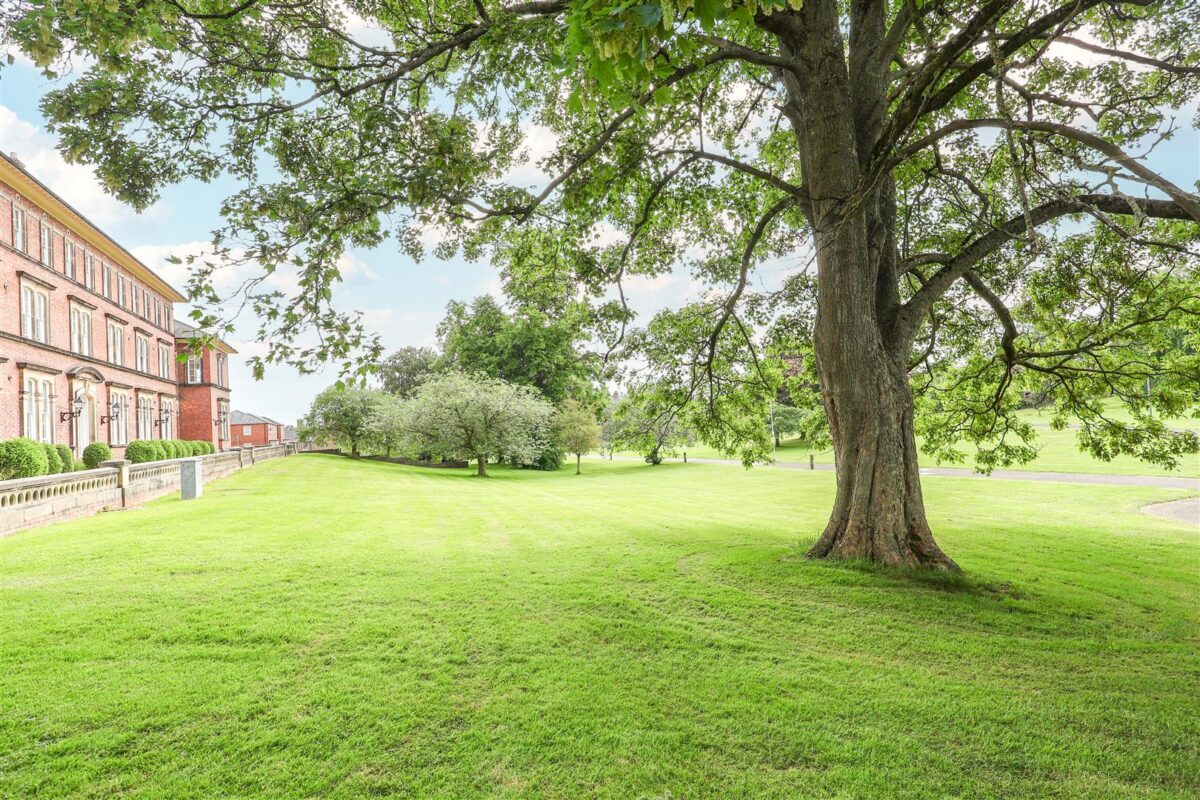 Steven Way, Ripon